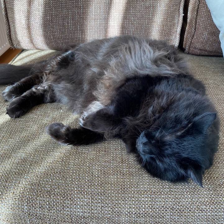 6a262237 bd92 4ed1 bbb0 7c4d52e87dc9 1642574698152