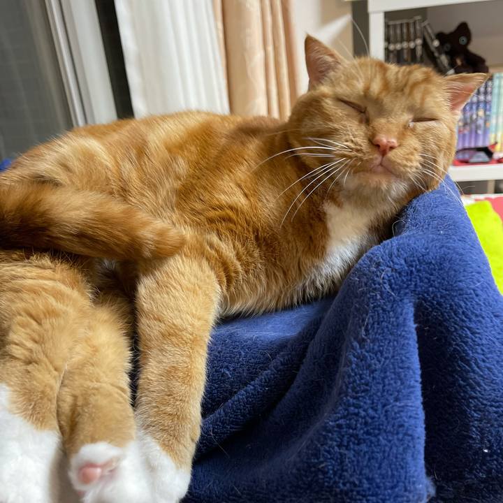 6a265f75 c5d8 4286 980c 2ff63aeb71e3 1642849598988