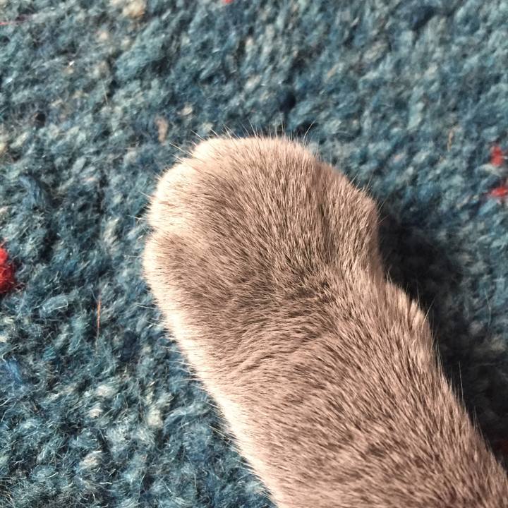 6a266cc7 85b7 45fe 81f9 4828bbb2977e 1535028569594