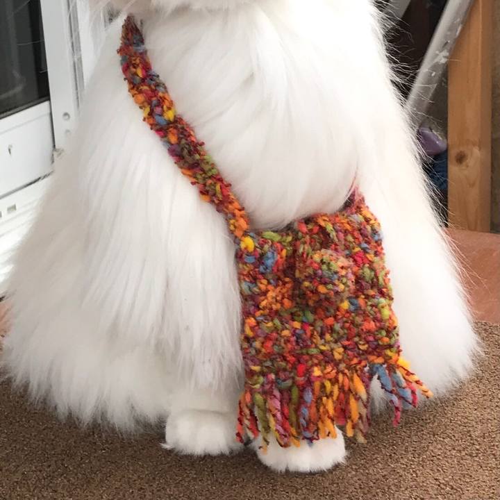 6a267fc9 ae1d 4188 a2c8 8c78fe23d26e 1633824861768