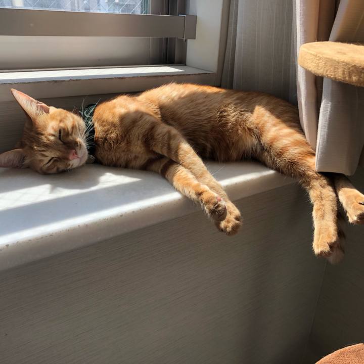 6a268cc9 efbb 43df 843c 4de114c0f667 1634535045000