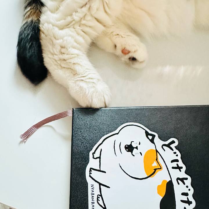 6a268fd0 f13e 4e01 abd3 c020e3ecf4ab 1666914484107