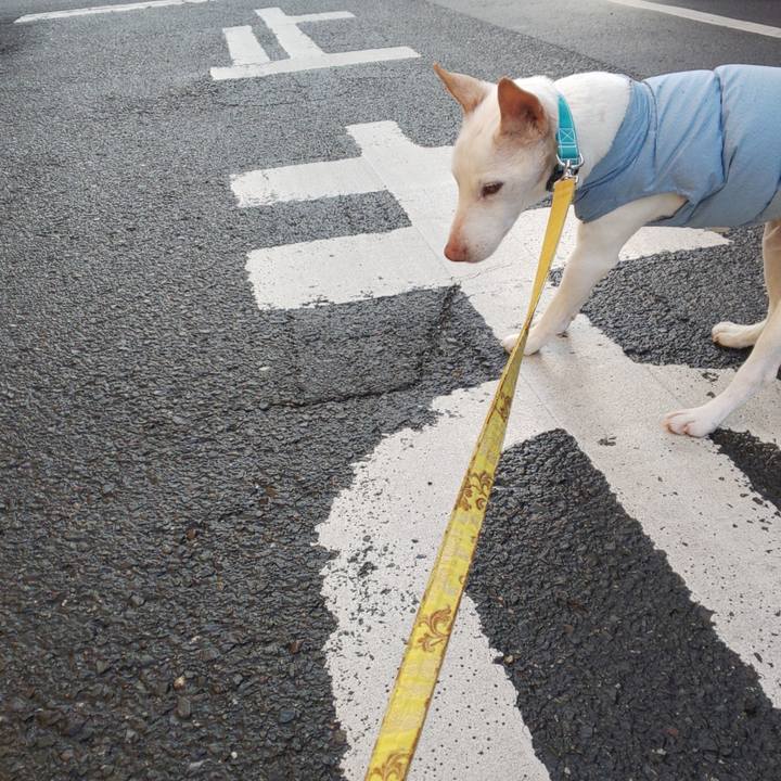 6a268ff8 2d4e 405f a011 896c3c91c578 1547767114759