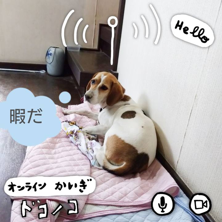 6a269cc8 0826 4737 a63f 1a4c1f3c6746 1594011633323