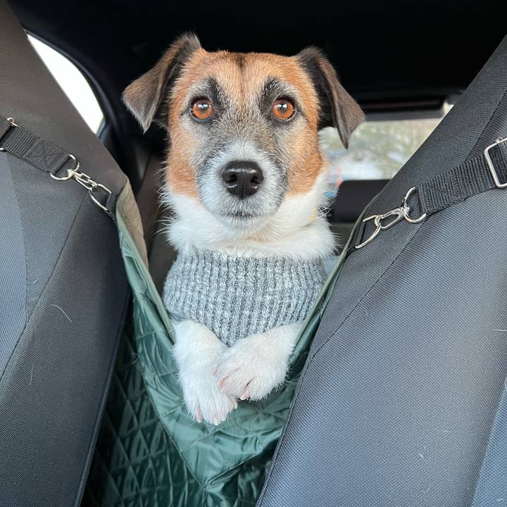 6a26b906 7477 4b5a bcd9 191658dd5aef 1675144896372