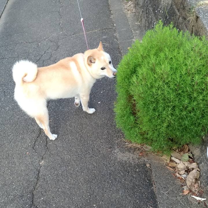 6a26c625 0aa9 4d69 9b18 7d74e95c2f6f 1598307790856