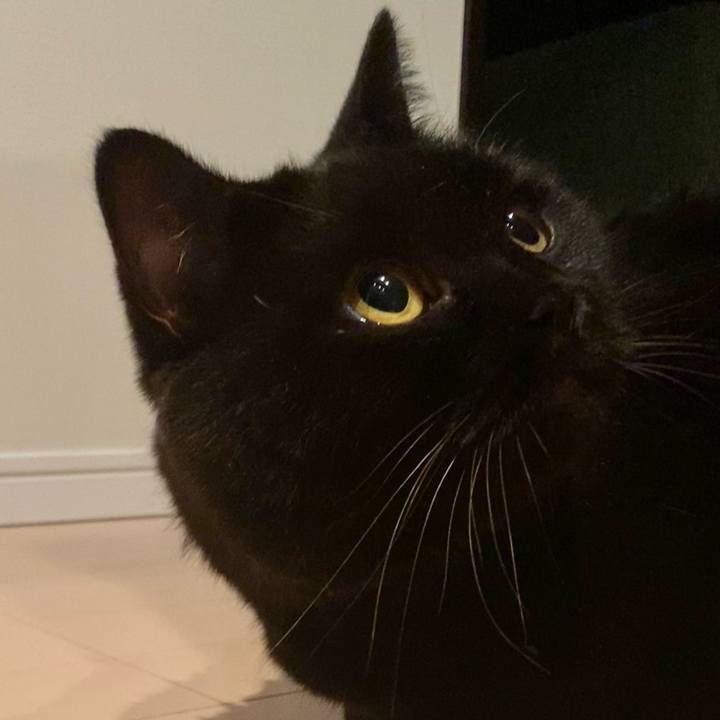 6a26c811 9a13 4c90 a501 3a435a74138d 1691671681030