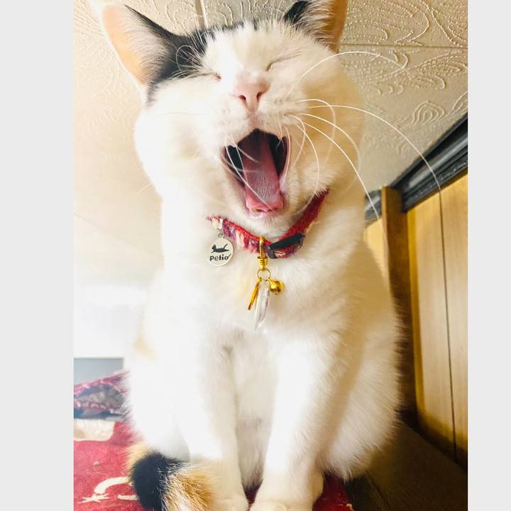 6a26f42a 75ad 440f 8f4f 5040e8501725 1707301556575