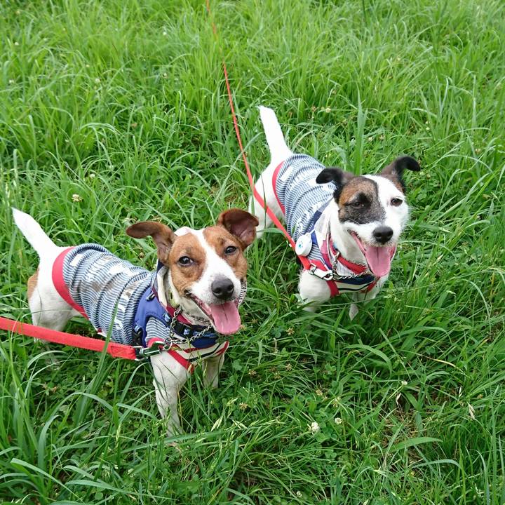 6a27160a ea21 4ea5 a907 6554170c1884 1562748488678