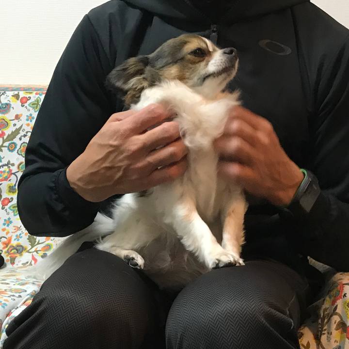 6a274cd8 93d0 4614 bda3 218b5655cbfa 1571664782180