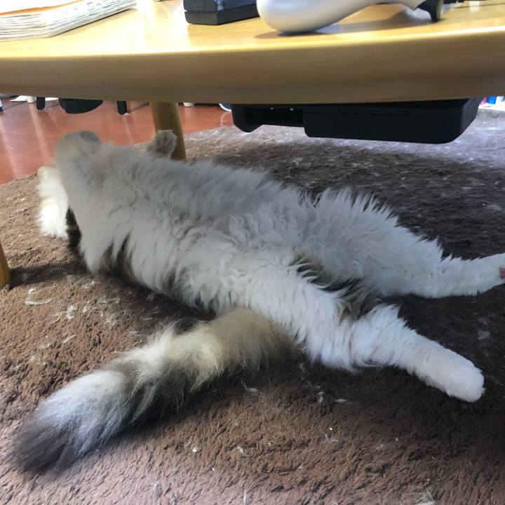 6a2766e9 100f 48f5 ac62 04ac5e9c47d3 1595839579538