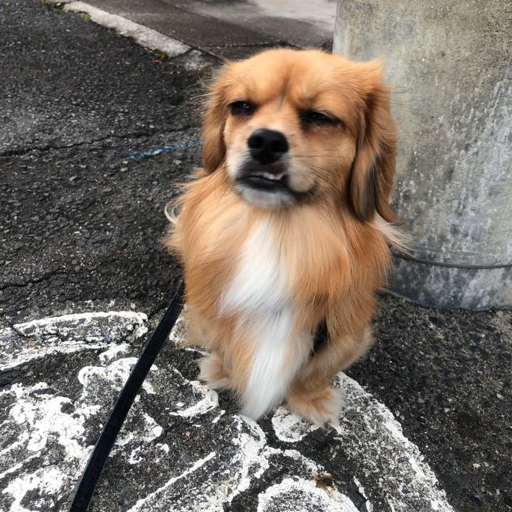 6a277ce7 14ed 4fd3 ac2d cb0019aa054d 1532810958533