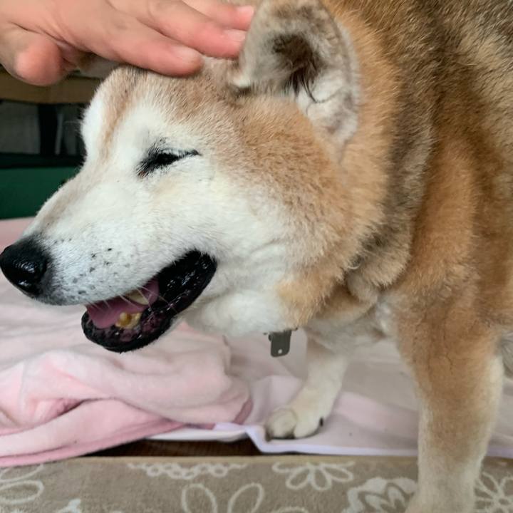 6a278706 3d3c 431e 8e15 da9cb83f8c4b 1684044263008