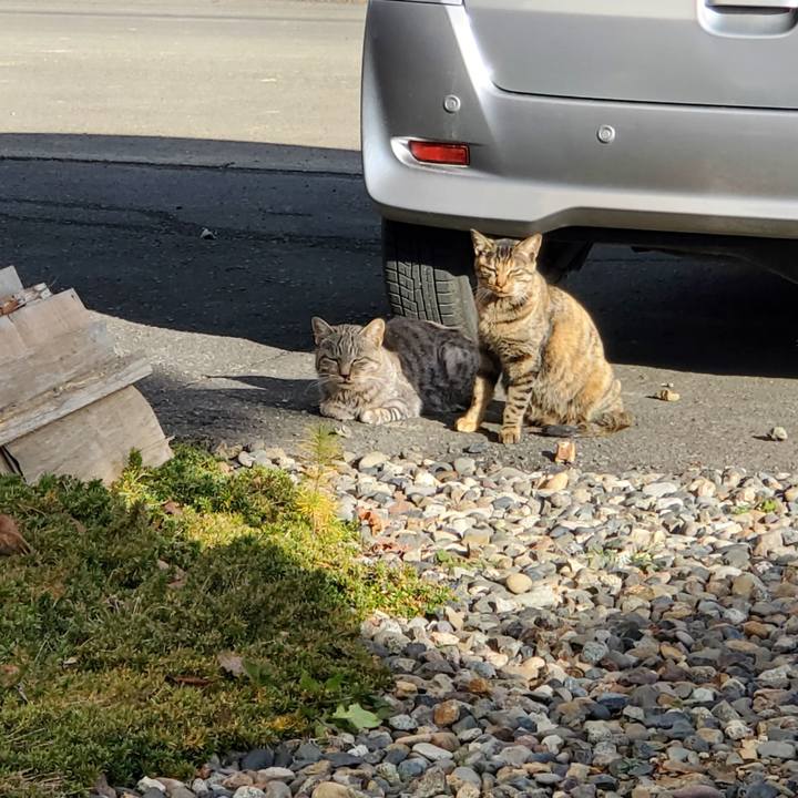 6a27a2b5 73c8 452d af6f a8c96b9cc1fa 1700320681997