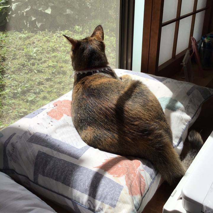 6a27a8d1 2548 46f5 8510 d33d5011ad3a 1595725031079