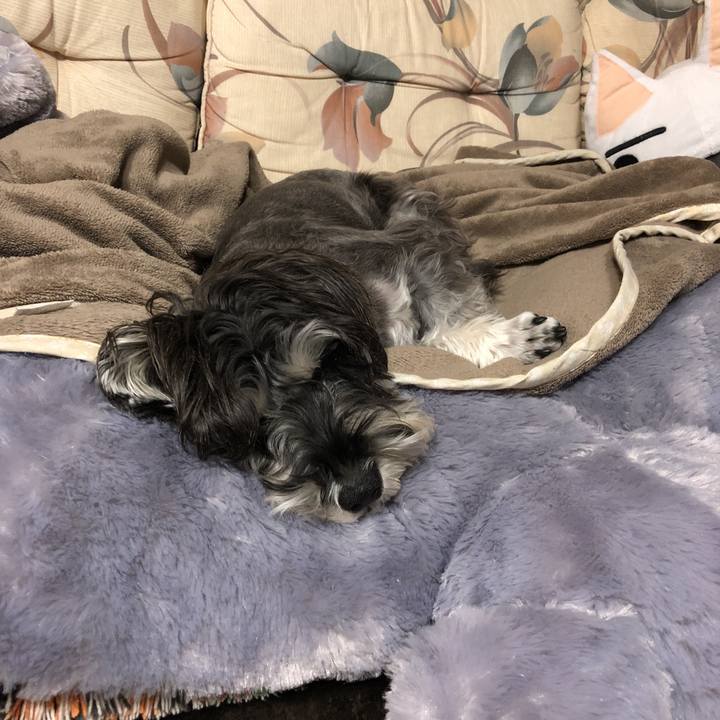 6a27bc35 158f 4d47 9aaf 7c3b2210f302 1511785674688