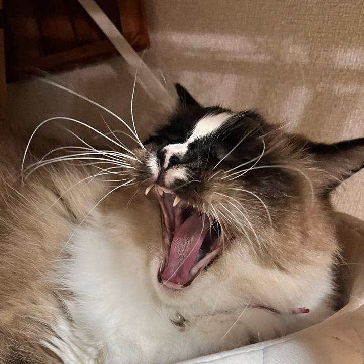 6a27f298 537f 4e8a a20b 4a938be20547 1677030463131