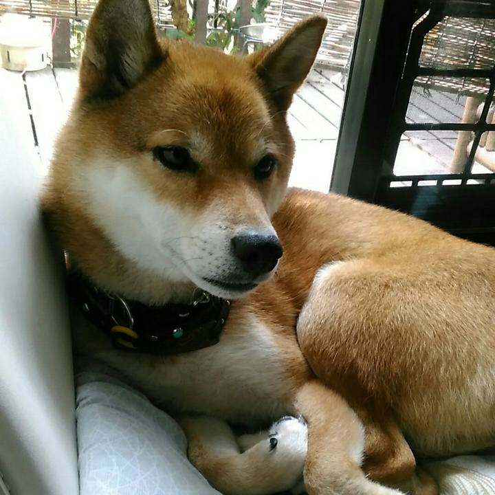 6a2824a0 c123 40af be1e 412545a12193 1566611241061