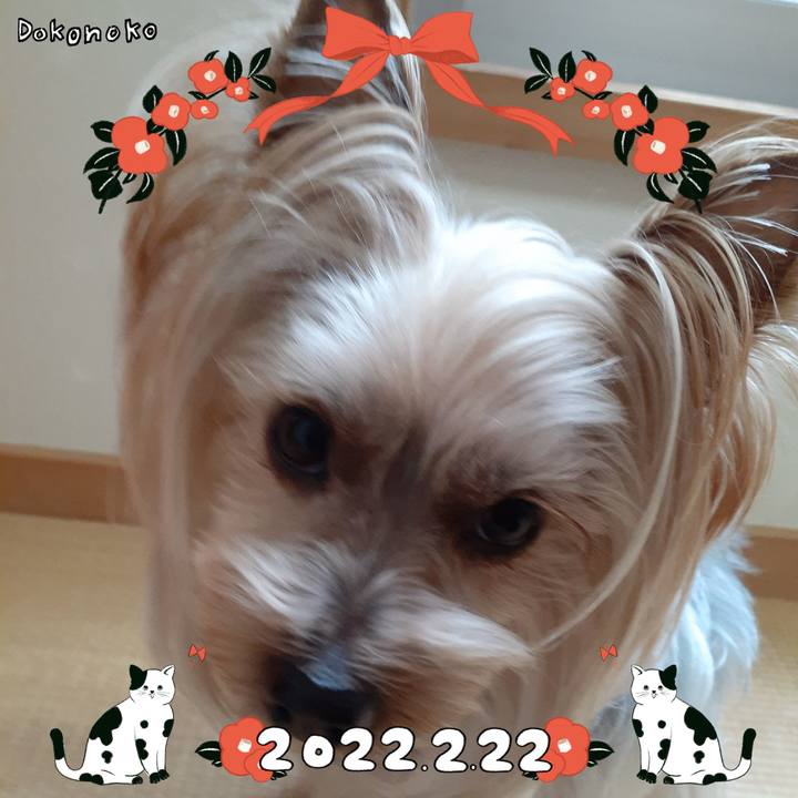 6a282aee 3dc4 44e2 9c97 ce9902c9d8f3 1645489293185