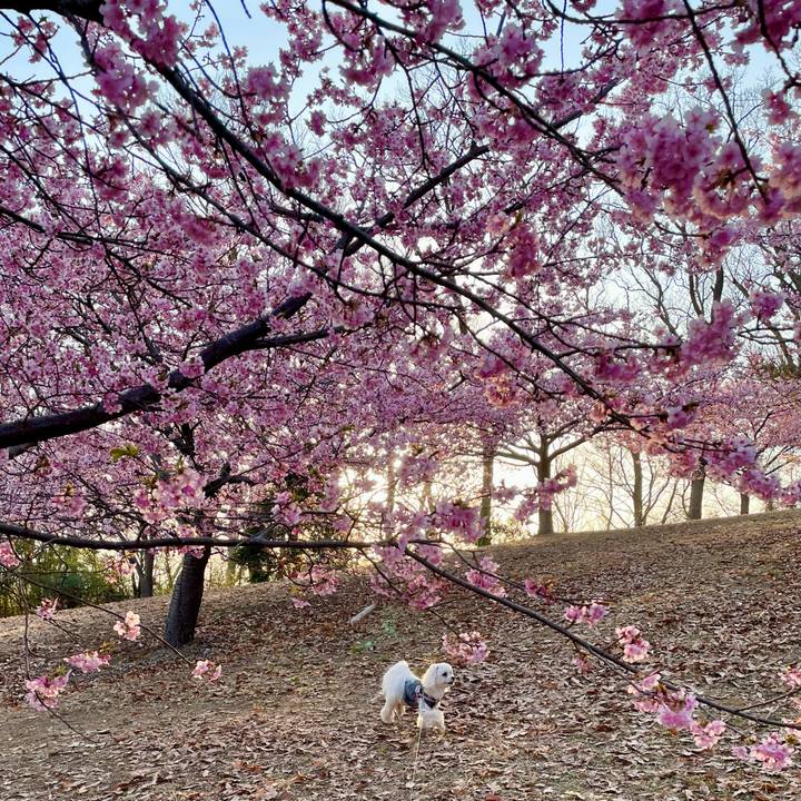 6a283df8 c3cb 4fbd 930d 5c08413e45ab 1646564416210