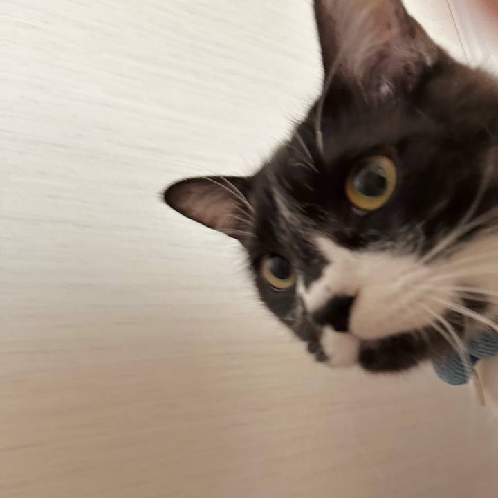 6a284f42 5e85 47e9 b94b 5ace436e7fc6 1774483001270