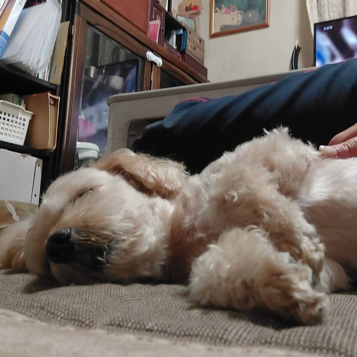 6a2857e9 c6a3 42f0 acc2 d5fc543a90db 1627360402171