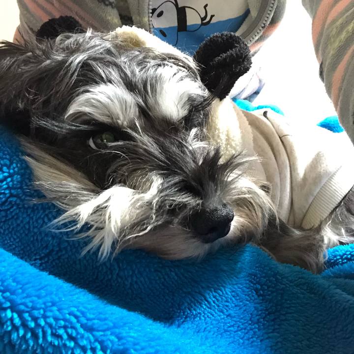 6a2864bb 5b55 42fb 8f22 f8e536145b32 1579008911030