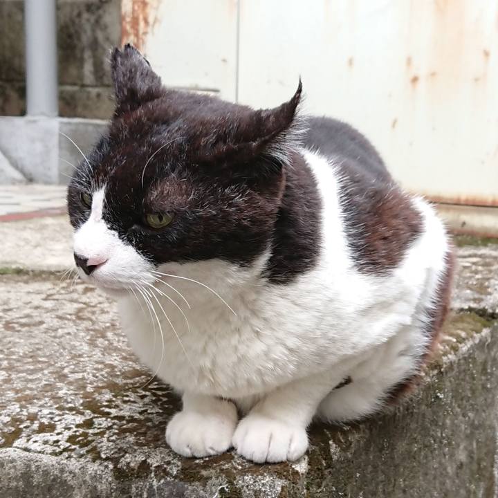 6a289266 c631 4024 998c 9894c137ccf1 1617319469453