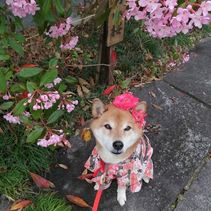 6a28bc9c 86f7 4000 9bec 05ae3bb04f92 1674041453416