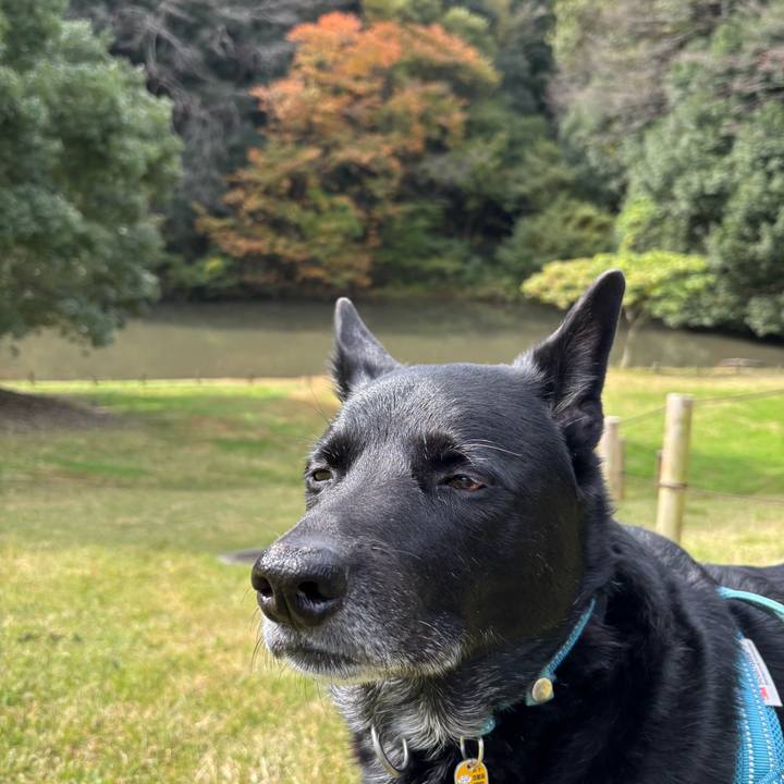 6a28c4d7 25f1 4da8 b7cd c021321219f5 1762051161496