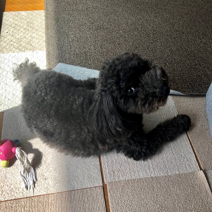 6a28c942 f9b4 4a49 9fd8 e6b124fd3af8 1602731431260