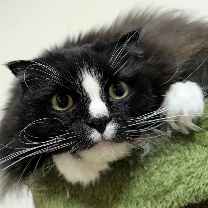 6a290104 1f28 4c28 8da2 5e27c9744e6b 1736638665642