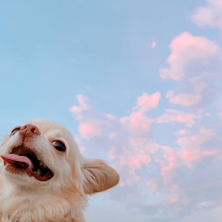 6a2910fb a50e 4798 afd8 50d17c8ff2e3 1659434233074