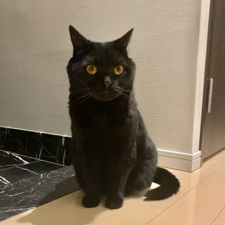 6a291918 444a 4ff9 b06b 3bd222f5308b 1653740177451