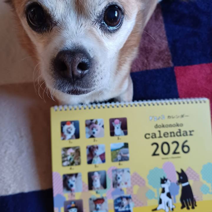 6a292299 8fe3 43f1 98a3 cf993b8b97dc 1765406289083