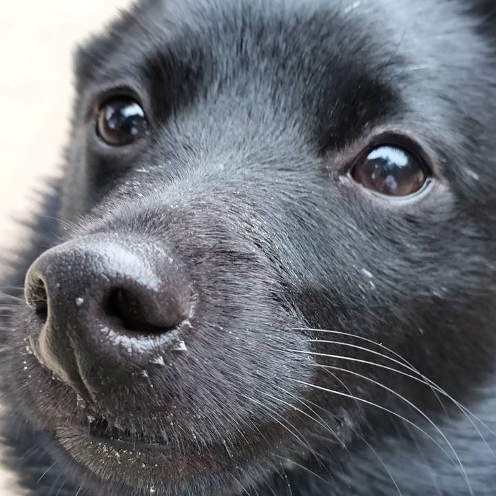 6a292331 d73f 4f78 b336 70ea3fad672d 1770454869555