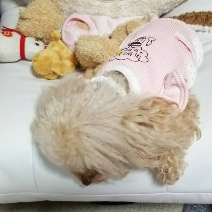 6a293104 b10e 4b2a ab7f bd44fb47b21e 1516711739661