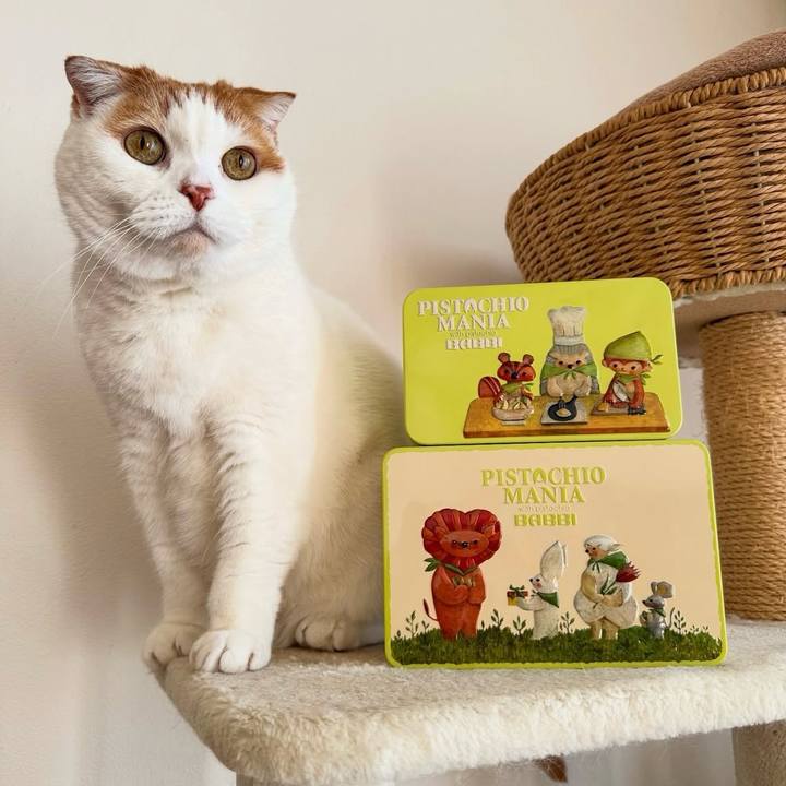 6a293799 8e3c 4bba a9b5 b05860c1d3f6 1769955037334