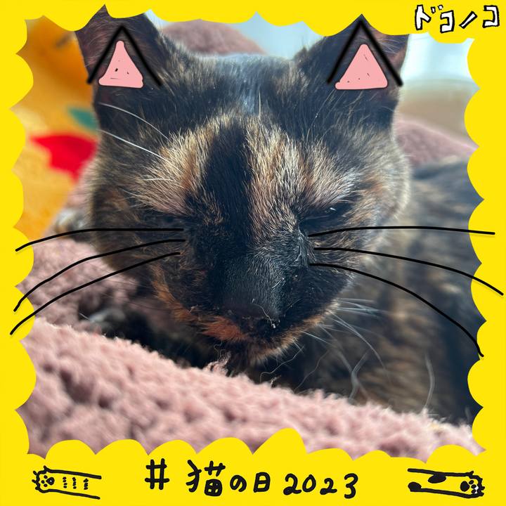 6a294bbb 4676 40e2 976c 99b5ce8308b5 1677034172848