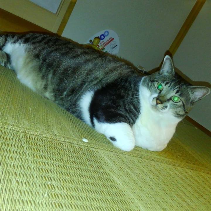 6a29a1e7 4676 4bb7 8d6a 3eb1fb0b5e4d 1535375071215