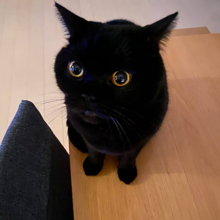 6a2a06a9 5c4f 4cb0 814f d11b30193bd5 1737200201613