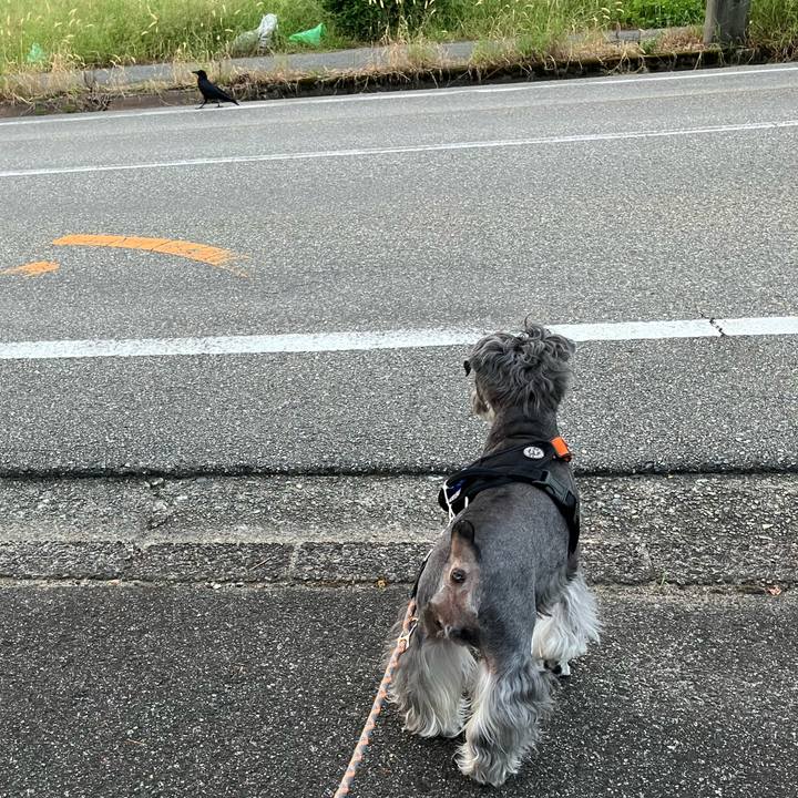 6a2a09c7 9b23 44e3 ae39 3eb9d12bfb83 1726613143529