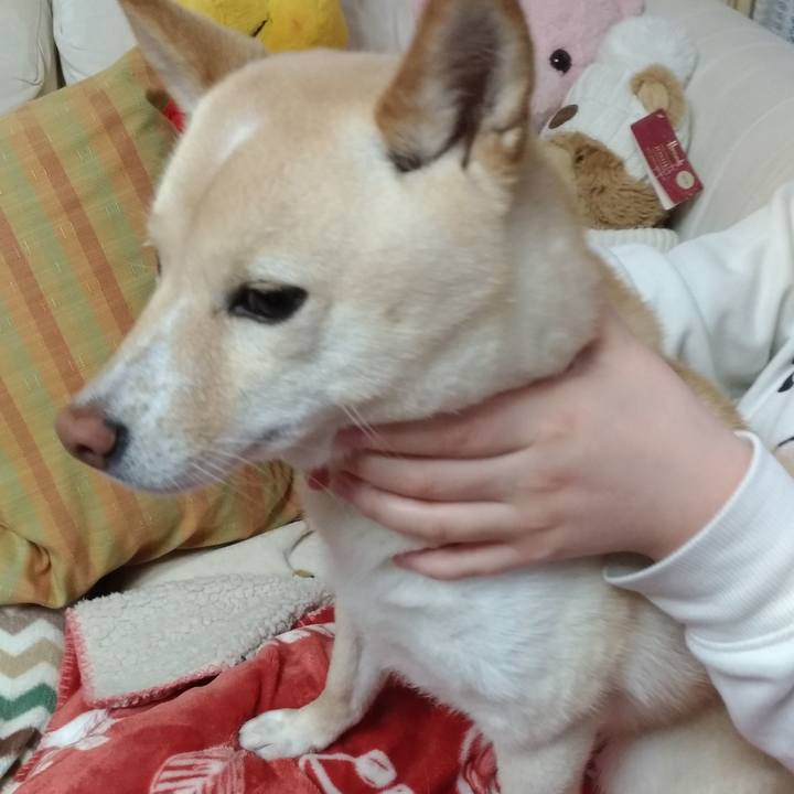 6a2a1298 e87b 4e3b a68f 18cf186da4ba 1587174653169