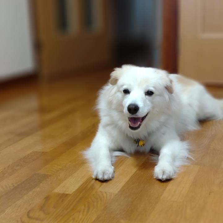 6a2a559e 08fe 4694 ad0e 6dd36c924b36 1647488580216