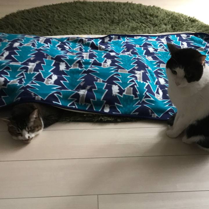 6a2a81ca bd90 4c8e 8020 c245f0c3e756 1550019476184