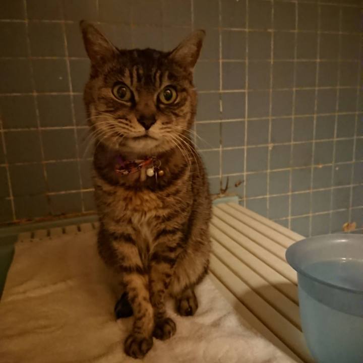 6a2a84d1 c381 4d16 a653 9bb048871099 1612262123581