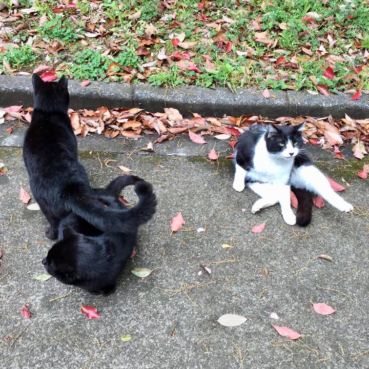 6a2a8cf3 ba15 48af 8eb4 95cc790bfc31 1556354497557