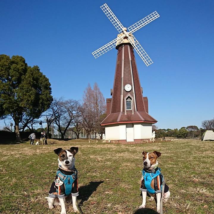 6a2a9375 e9b8 432a a38b 490ecfaaf5ca 1577600264750