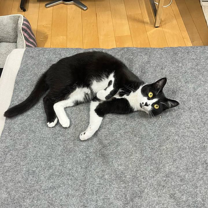 6a2ab7f9 a233 4fe5 9574 907be222462e 1713844867922