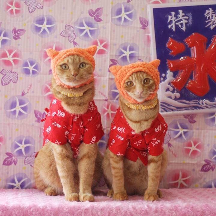 6a2ac721 ddbc 4034 93e2 9c1202fbb9bf 1689575978746